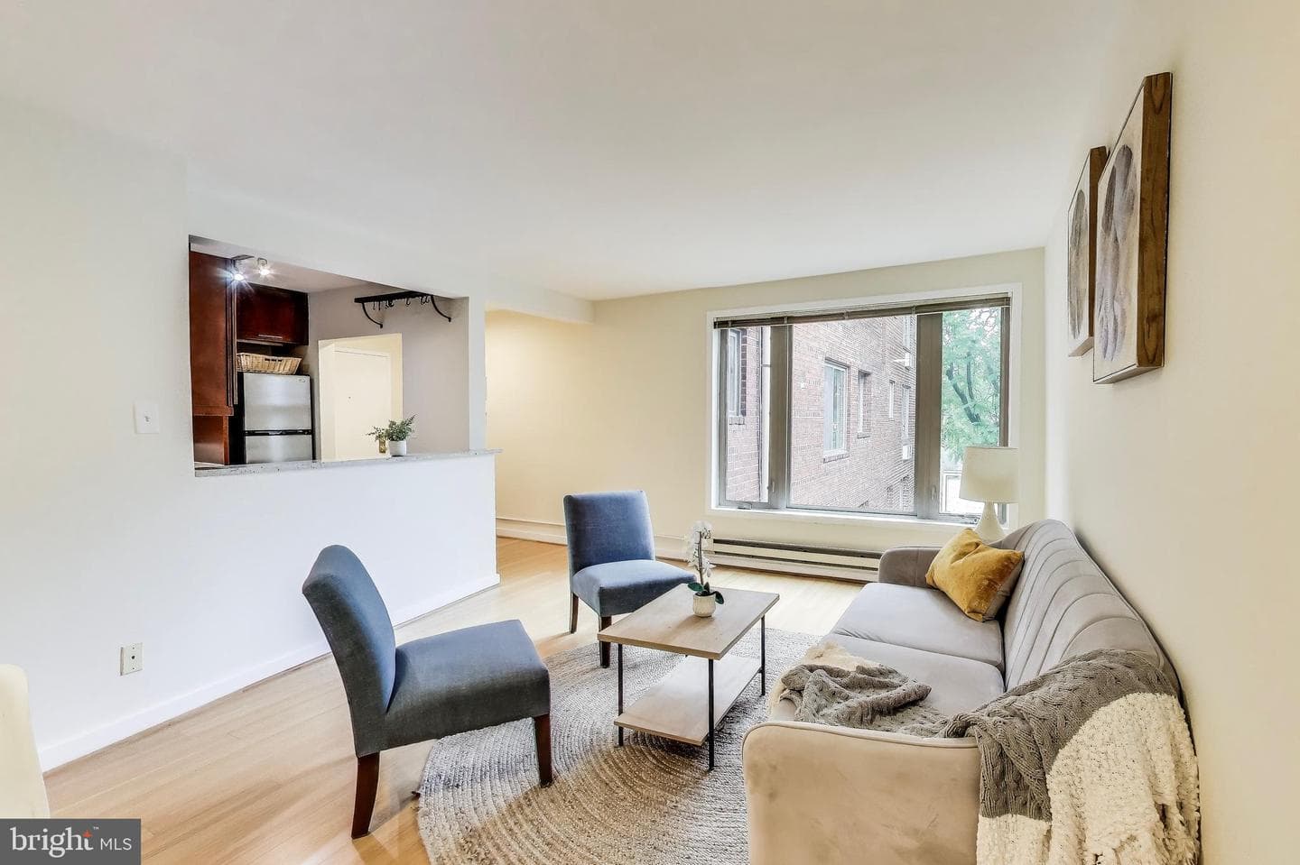 2639 15th Street NW #205 photo 4