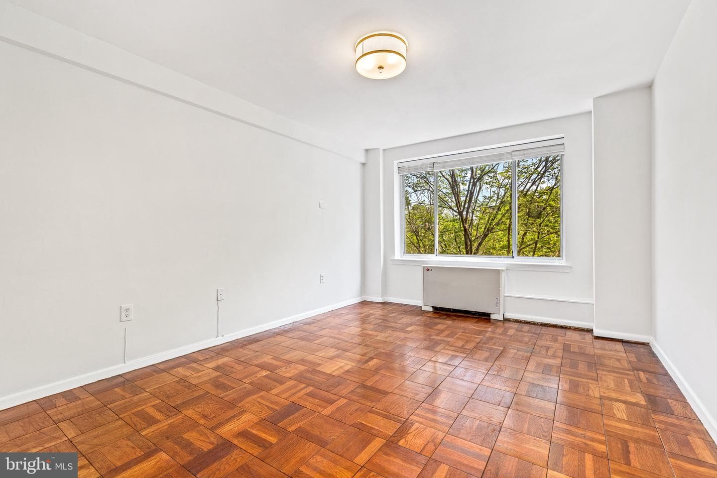 4100 W Street NW #306 photo 11