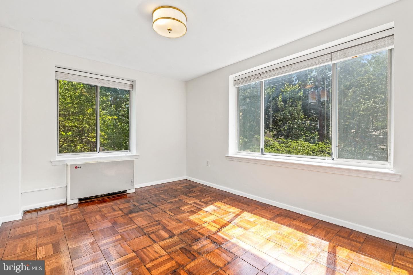 4100 W Street NW #306 photo 14