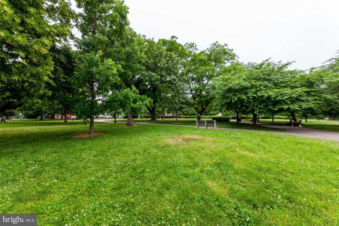 609 Maryland Avenue NE #4 photo 45