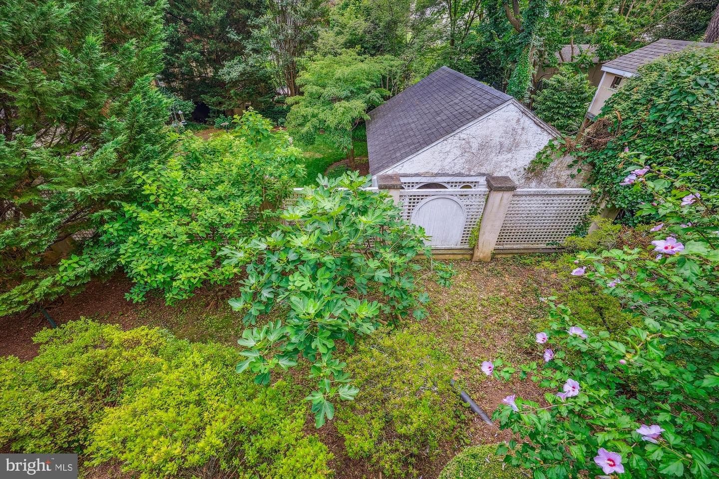 4412 Lowell Street NW photo 52