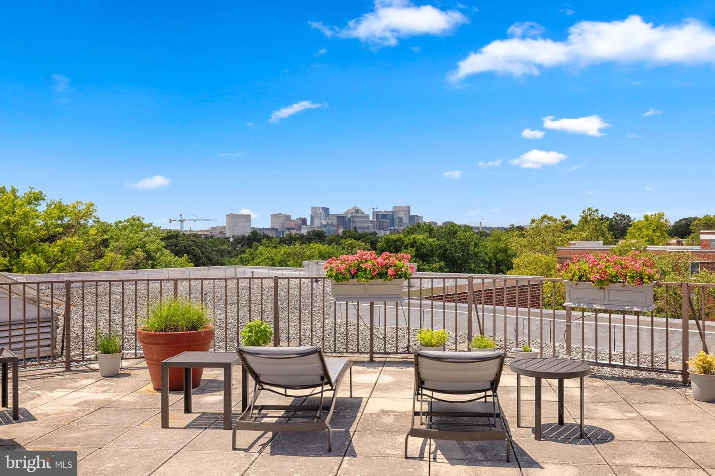 2500 Q Street NW #410 photo 15