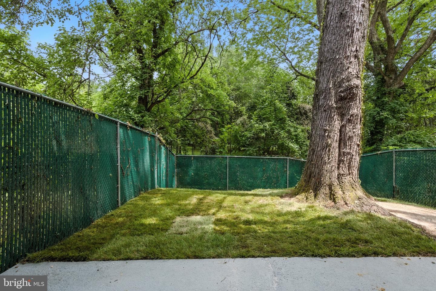 5626 Clay Place NE photo 31