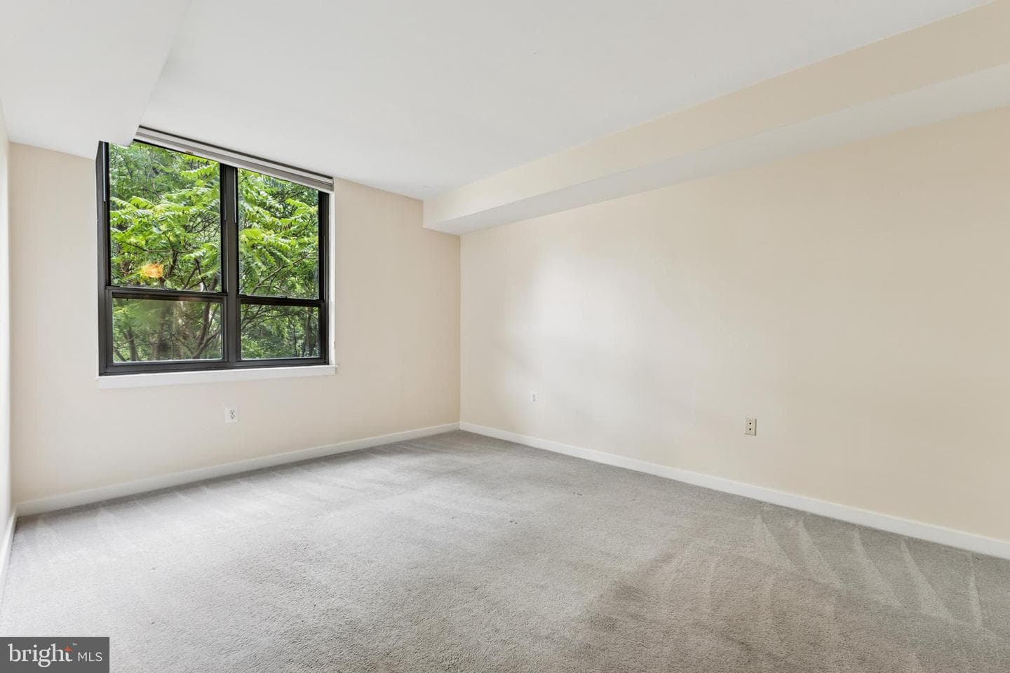3883 Connecticut Avenue NW #313 photo 11