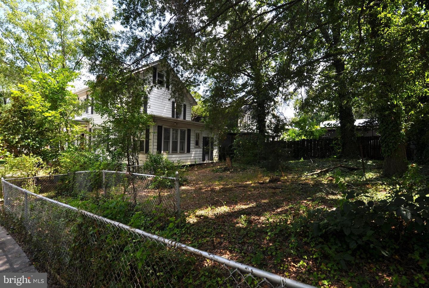 1619 Evarts Street NE photo 19