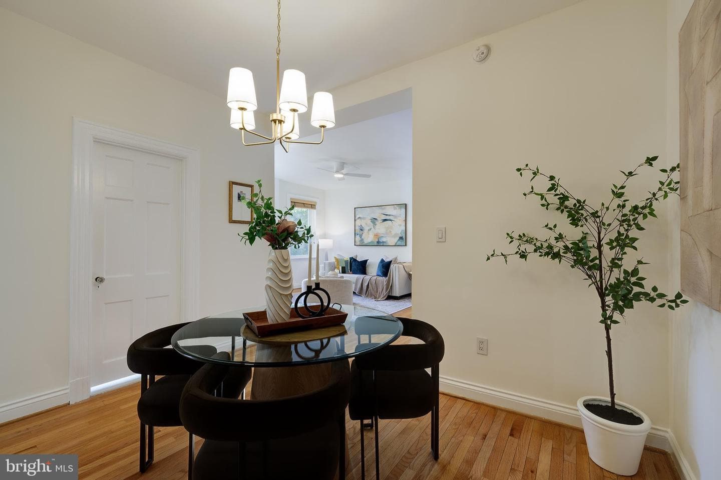 3100 Connecticut Avenue NW #302 photo 12