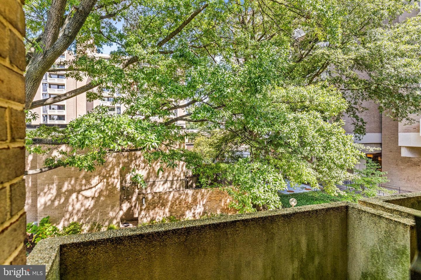 455 N Street SW #3 photo 36