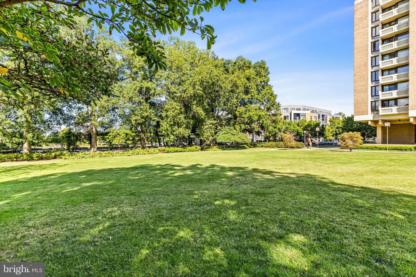455 N Street SW #3 photo 49