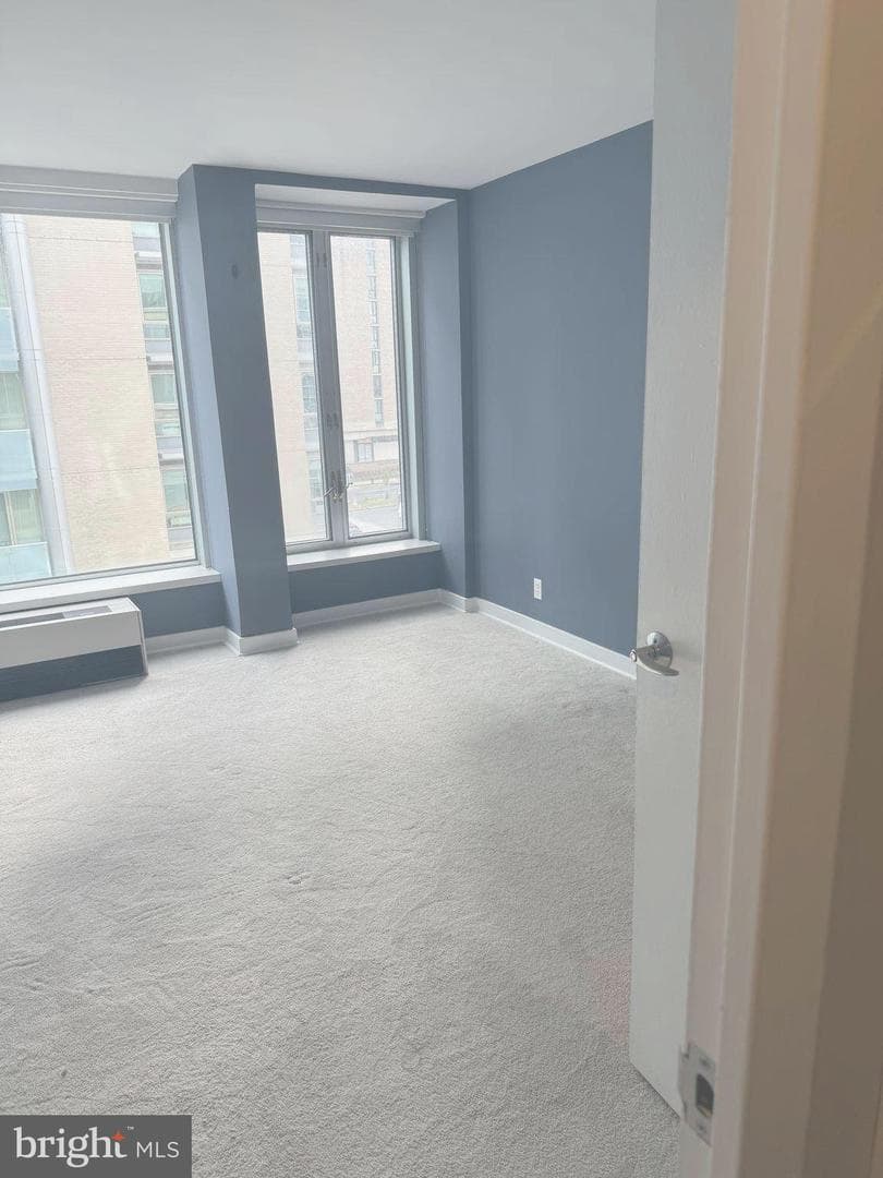 1101 3rd Street SW #306 photo 38
