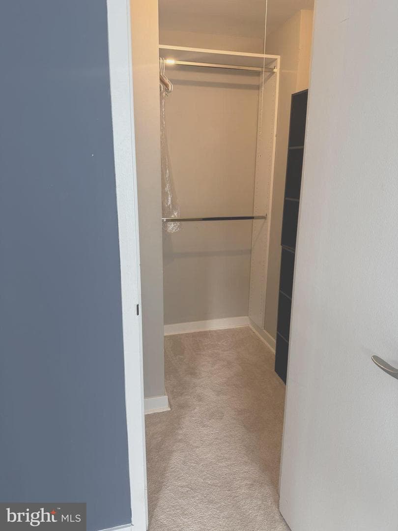1101 3rd Street SW #306 photo 39