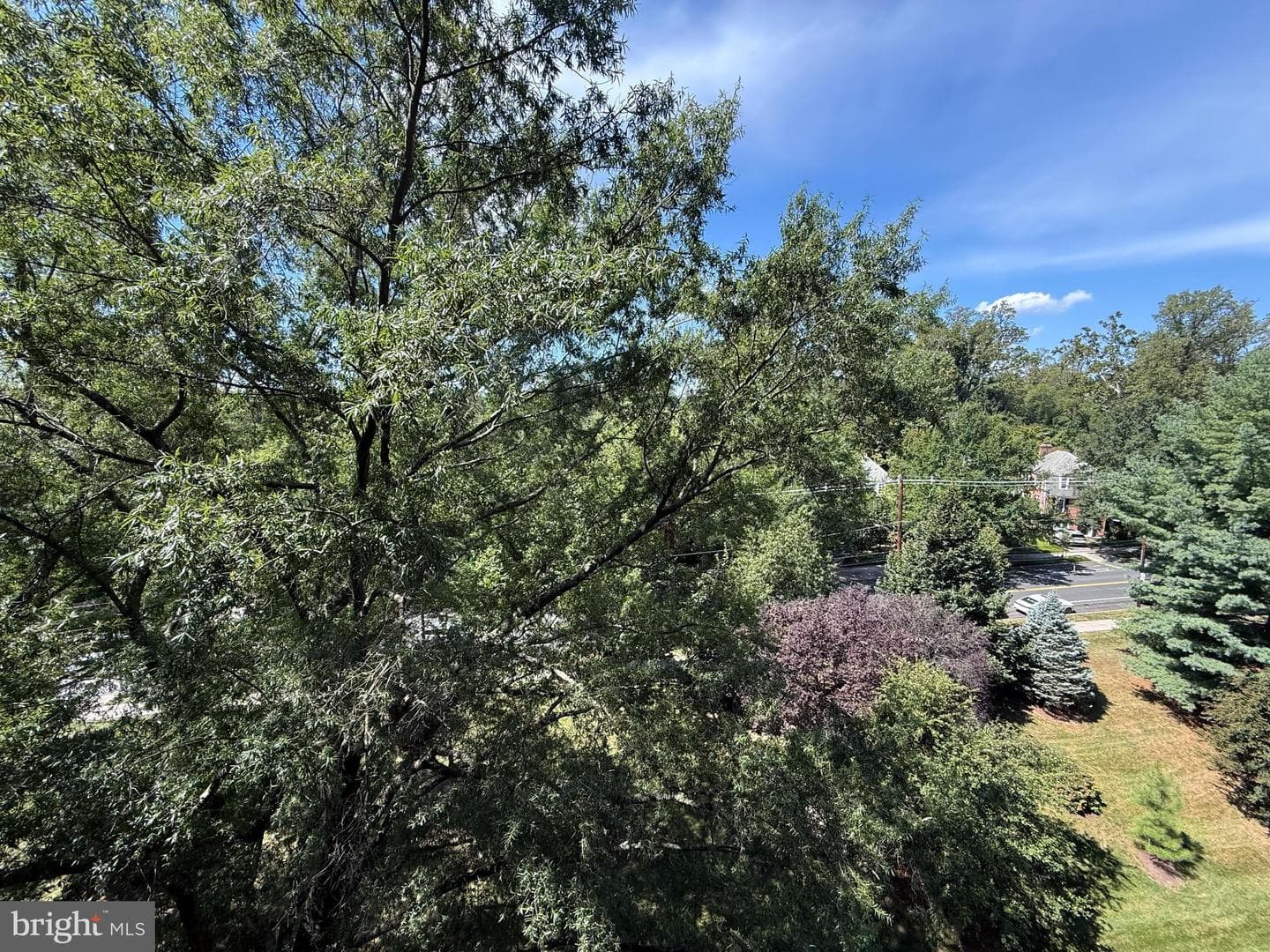 4201 Cathedral Avenue NW #913w photo 35