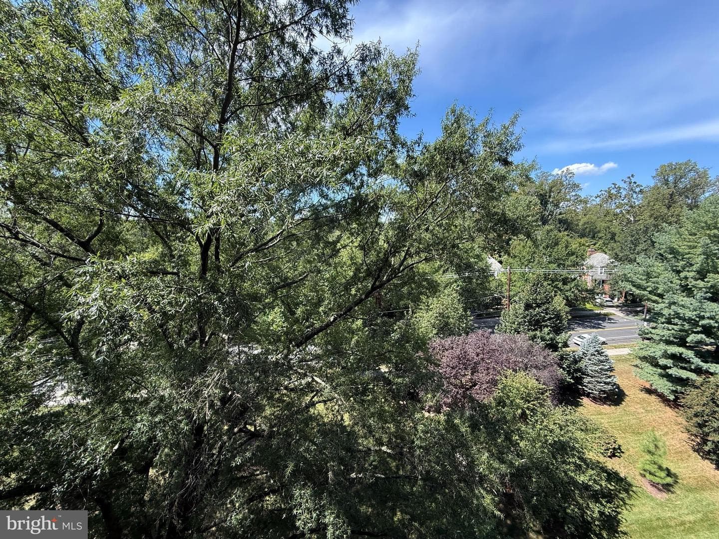 4201 Cathedral Avenue NW #913w photo 36