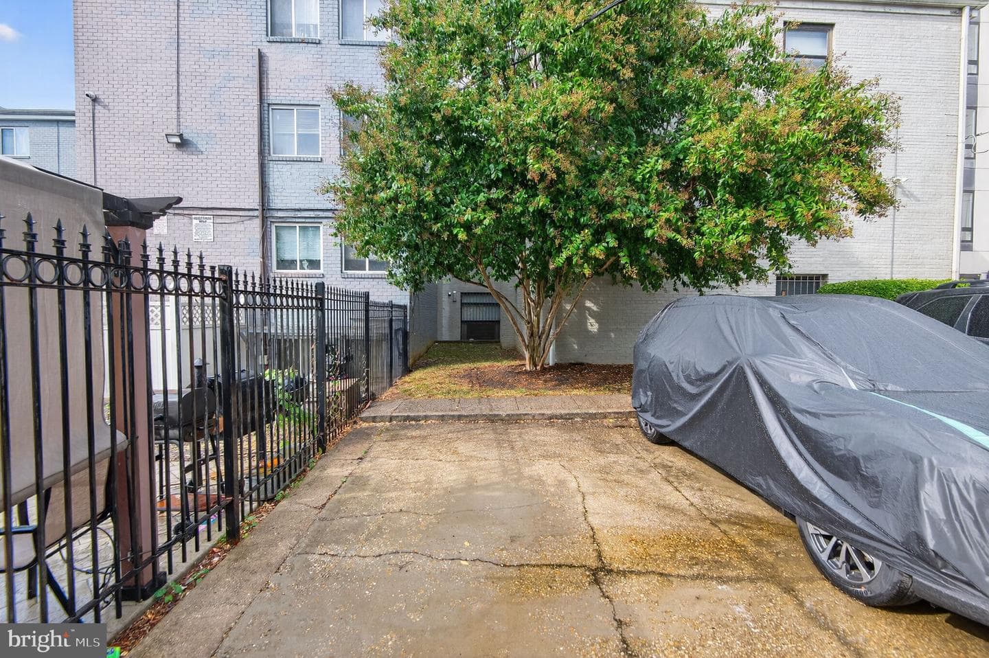 1323 K Street SE #203 photo 13