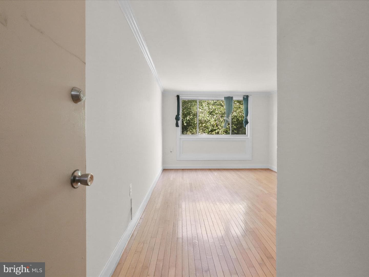 2850 Hartford Street SE #203 photo 16
