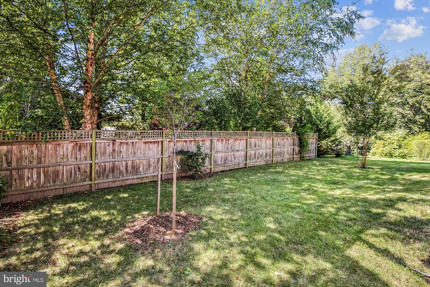2928 Ellicott Street NW photo 77
