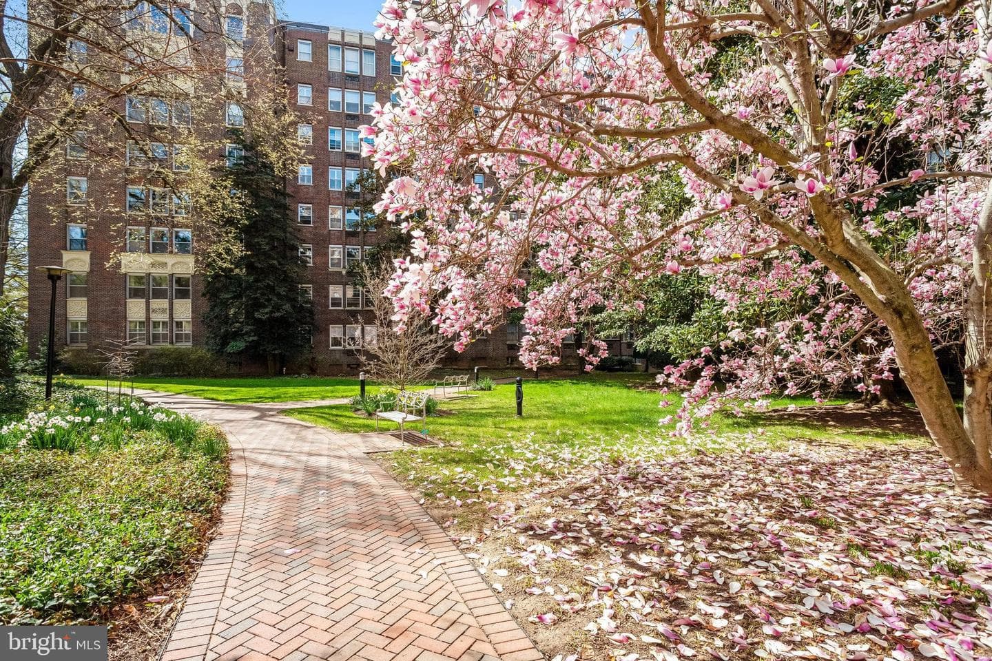 4000 Cathedral Avenue NW #848/849b photo 4