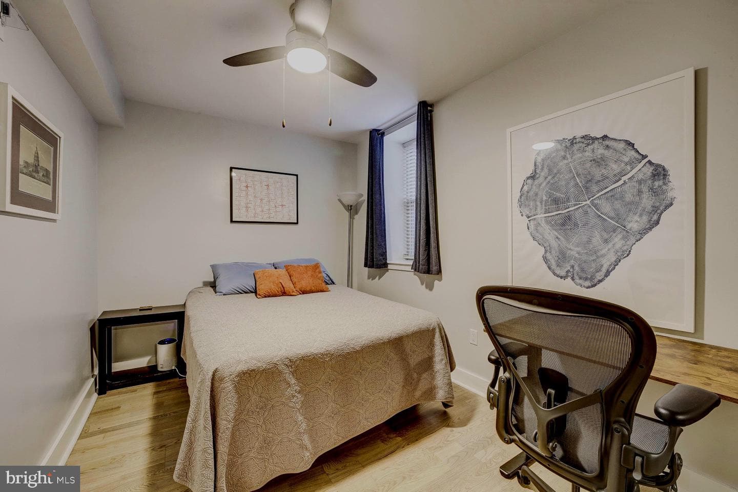 3511 13th Street NW #102 photo 10