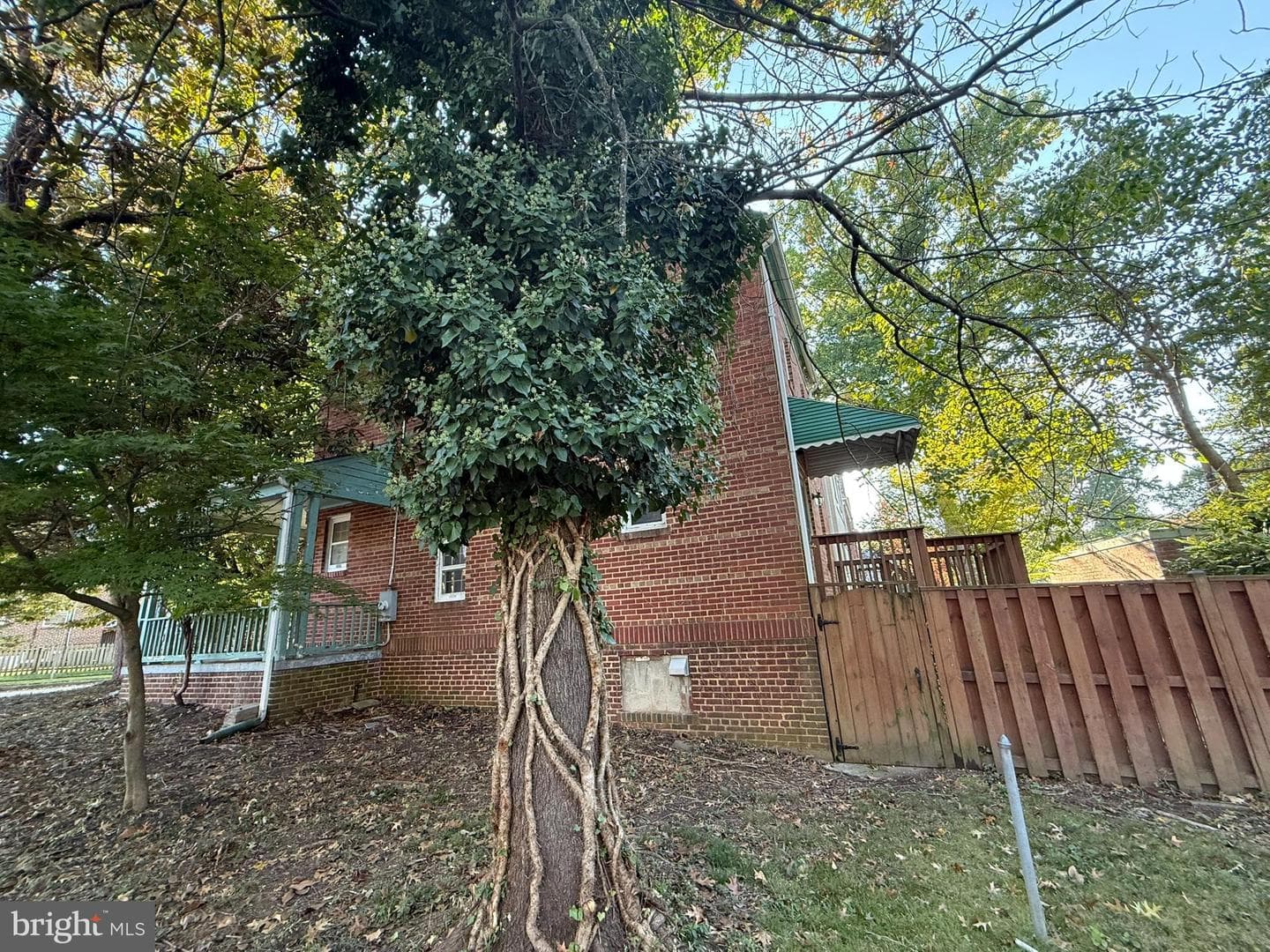 4501 Harrison Street NW photo 23