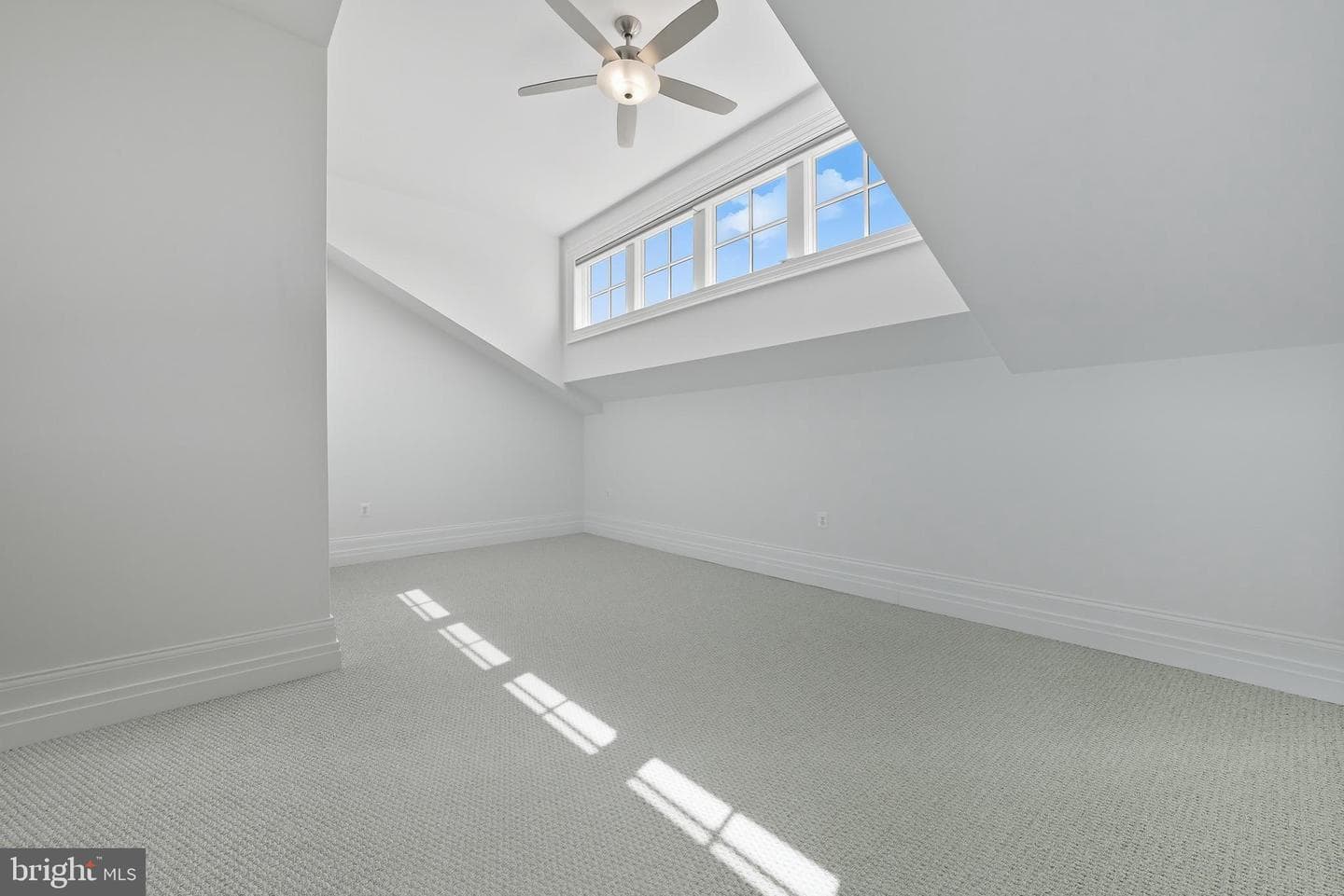 901 D Street NE #207 photo 22