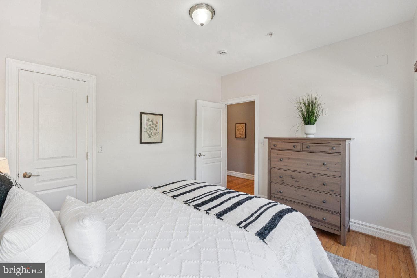 224 S Street NE #2 photo 9