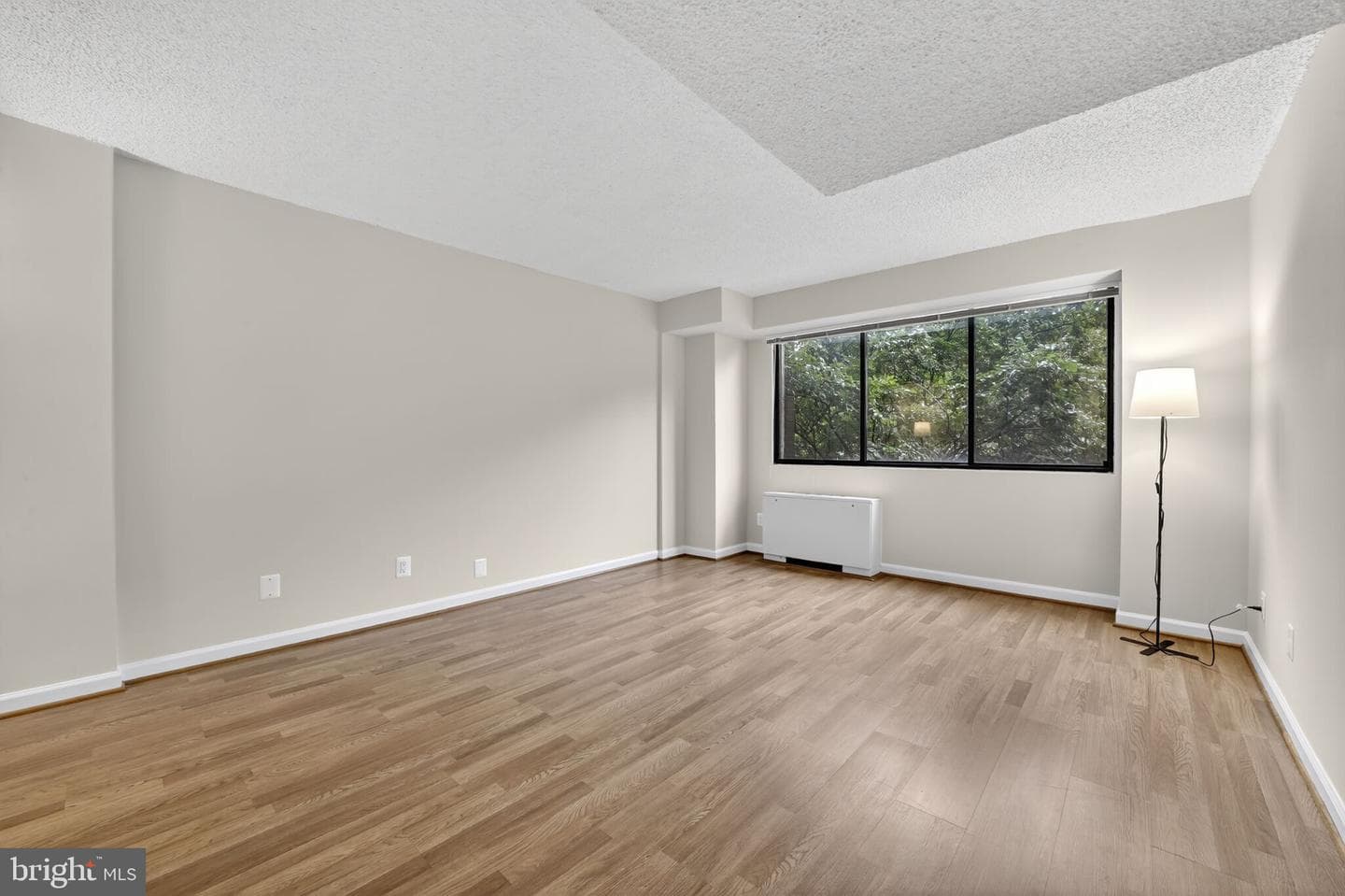 1245 13th Street NW #304 photo 8