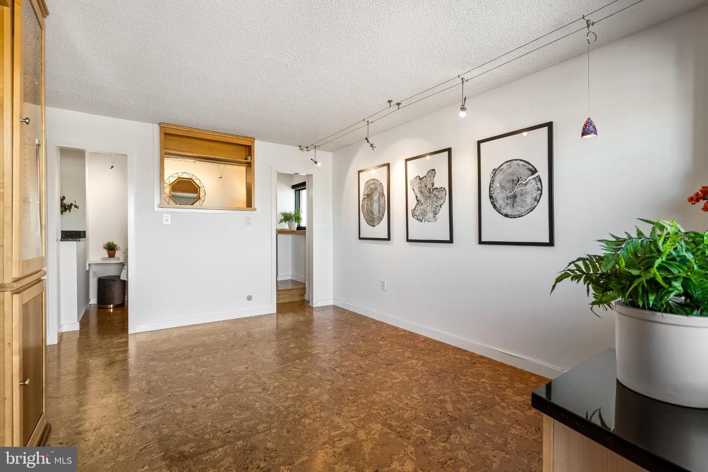1816 New Hampshire Avenue NW #1009 photo 12