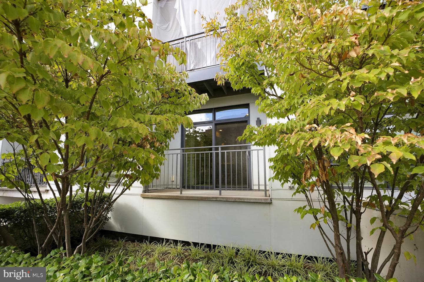 2337 Champlain Street NW #104, Washington