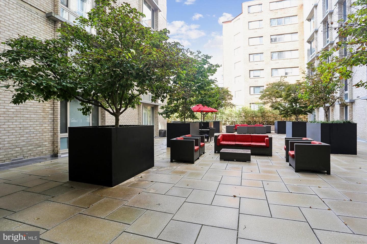 950 25th Street NW #509-N photo 42