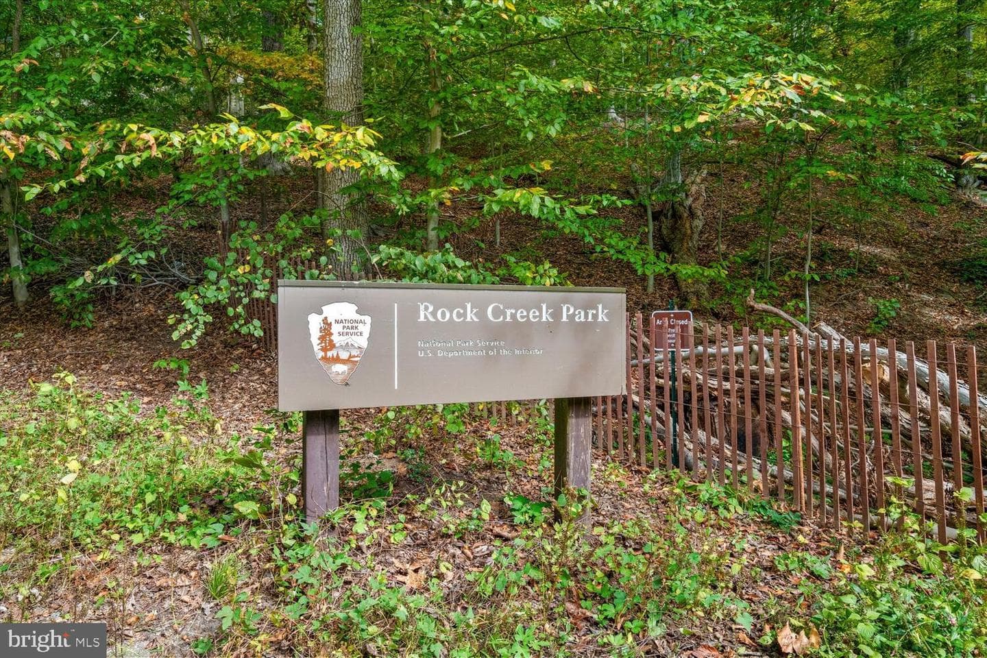 4838 Broad Branch Road NW photo 31