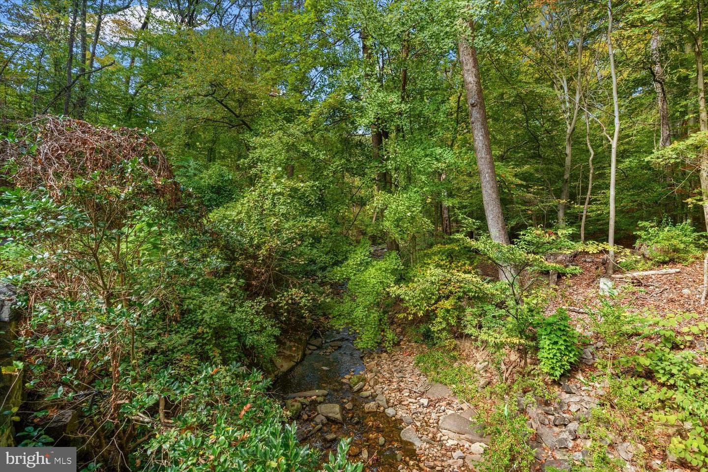4838 Broad Branch Road NW photo 32