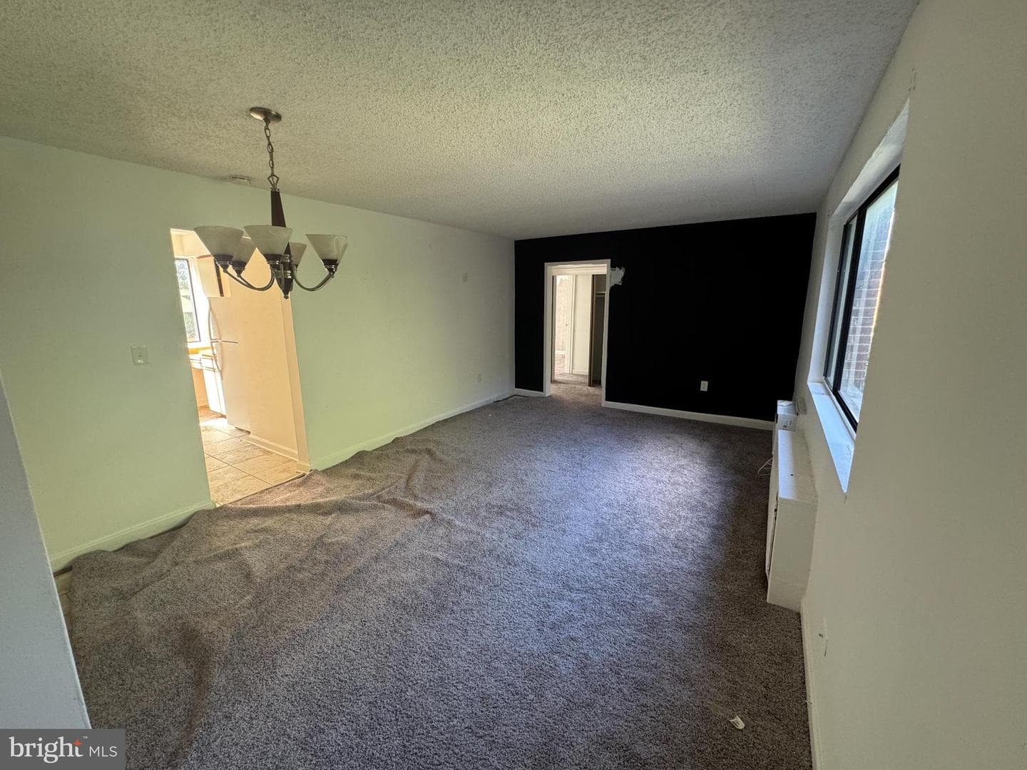 4725 1st Street SW #303 photo 10