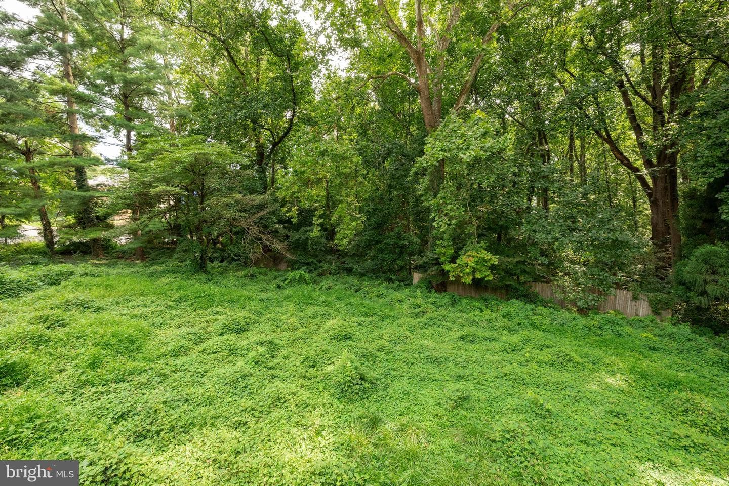 5906 17th Street NW photo 4