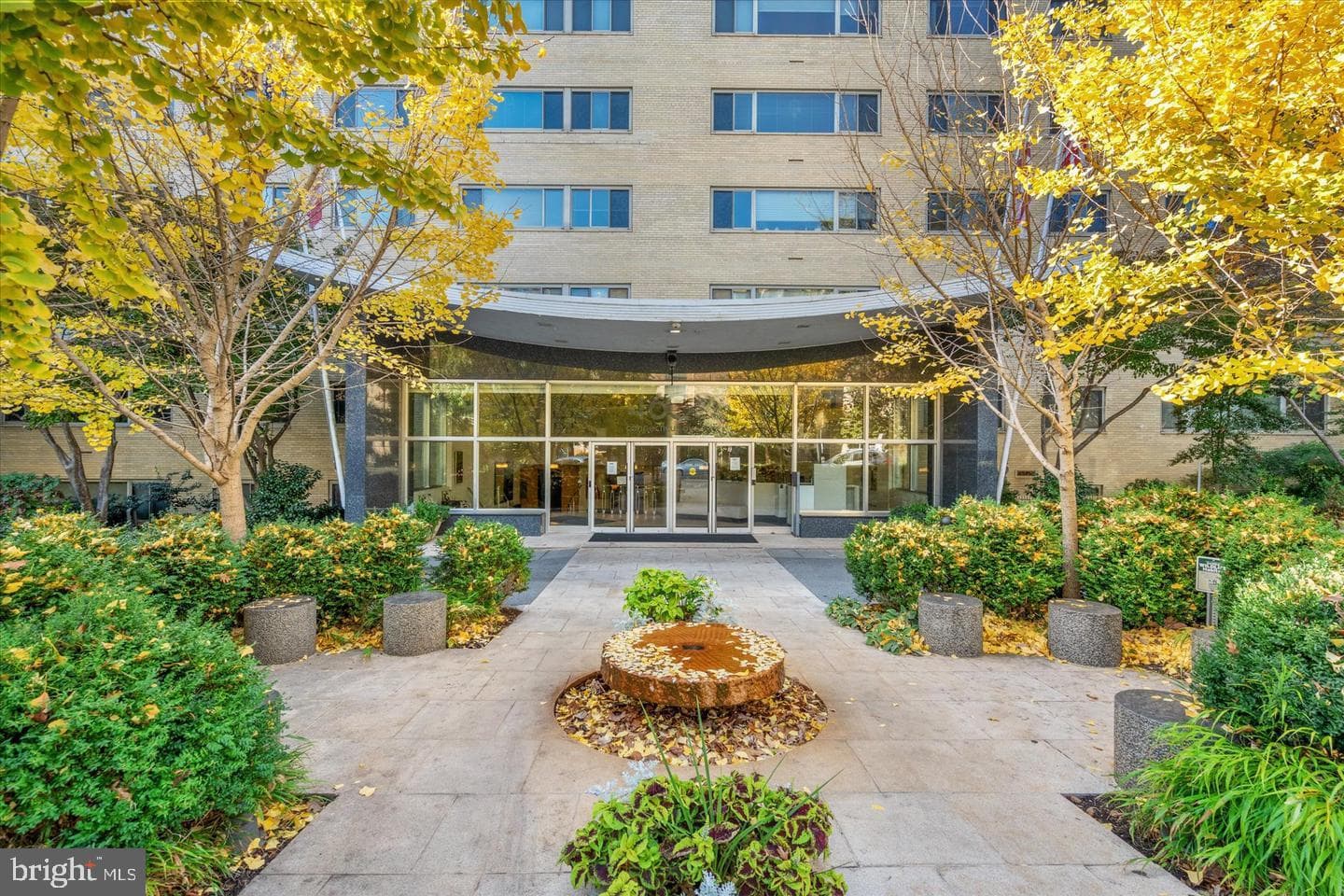 4600 Connecticut Avenue NW #211 photo 1