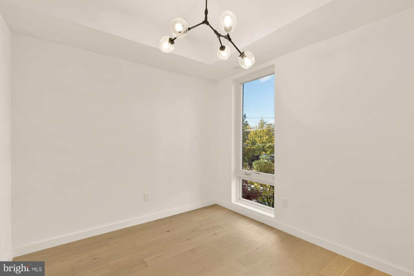 30 Kennedy Street NW #6 photo 23