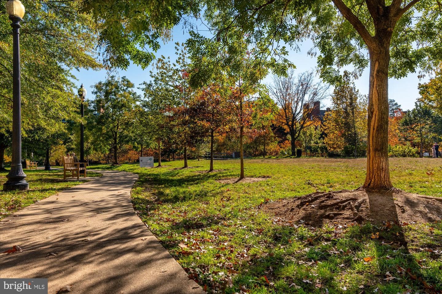 2540 Massachusetts Avenue NW #105 photo 51