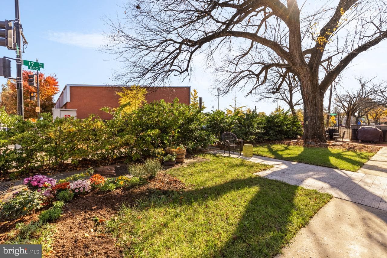 1671 Gales Street NE #1 photo 26