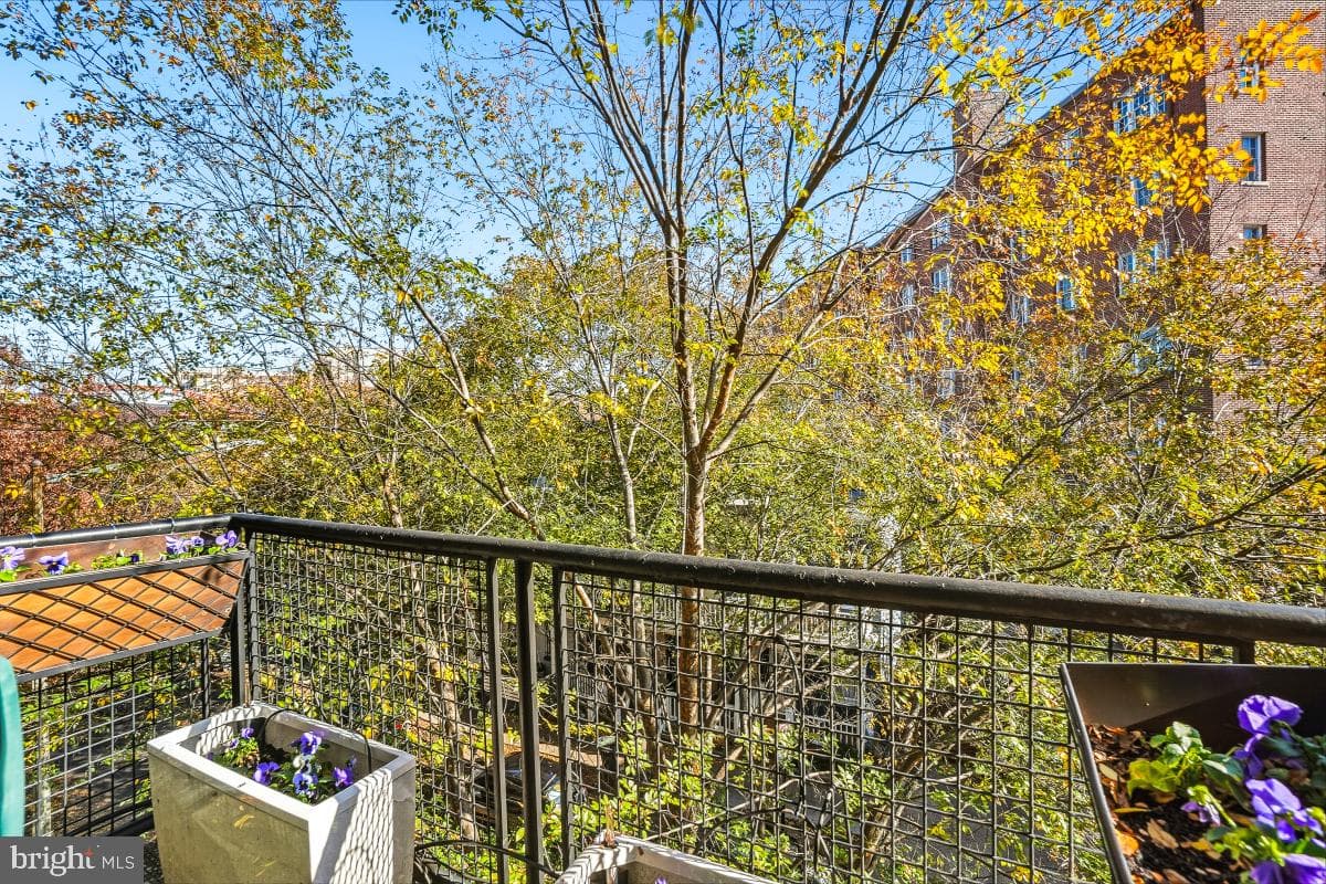 1700 Kalorama Road NW #407 photo 15