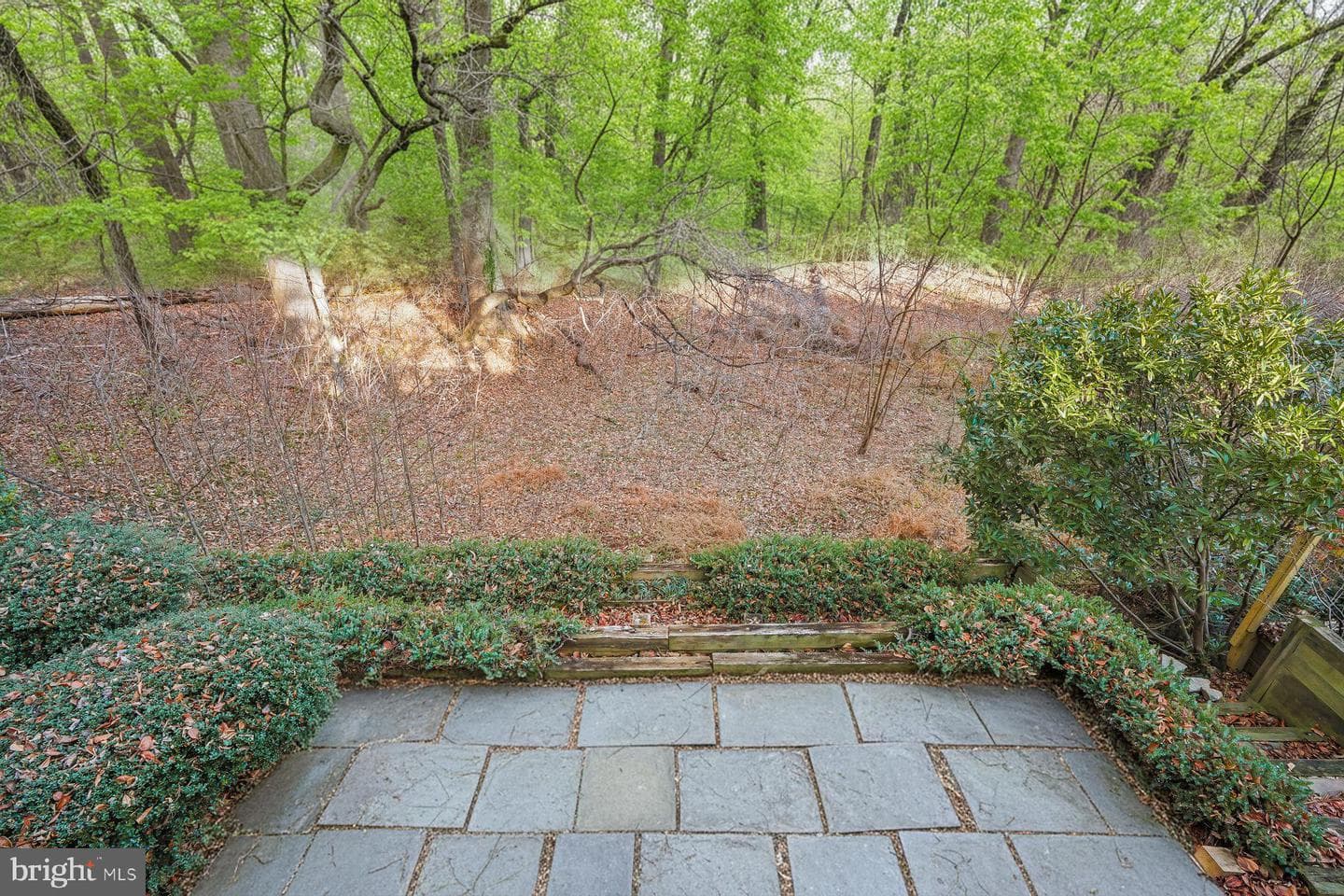 1727 Hoban Road NW photo 23