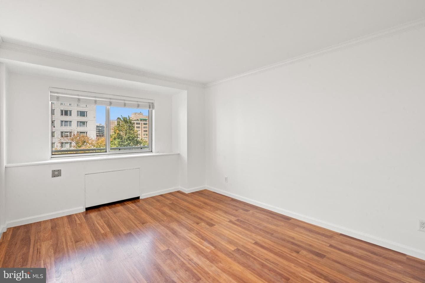730 24th Street NW #503 photo 9
