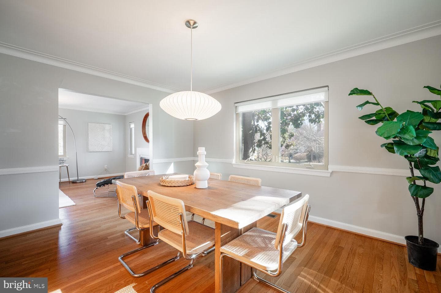 3400 Broad Branch Terrace NW photo 14
