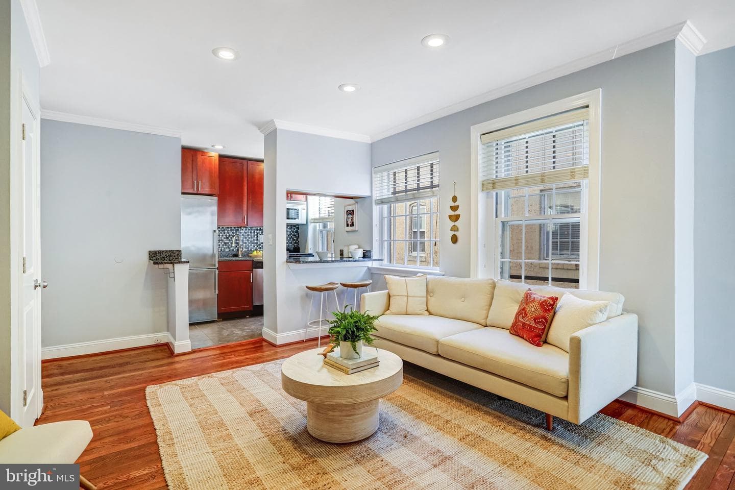 115 E Street SE #302 photo 5
