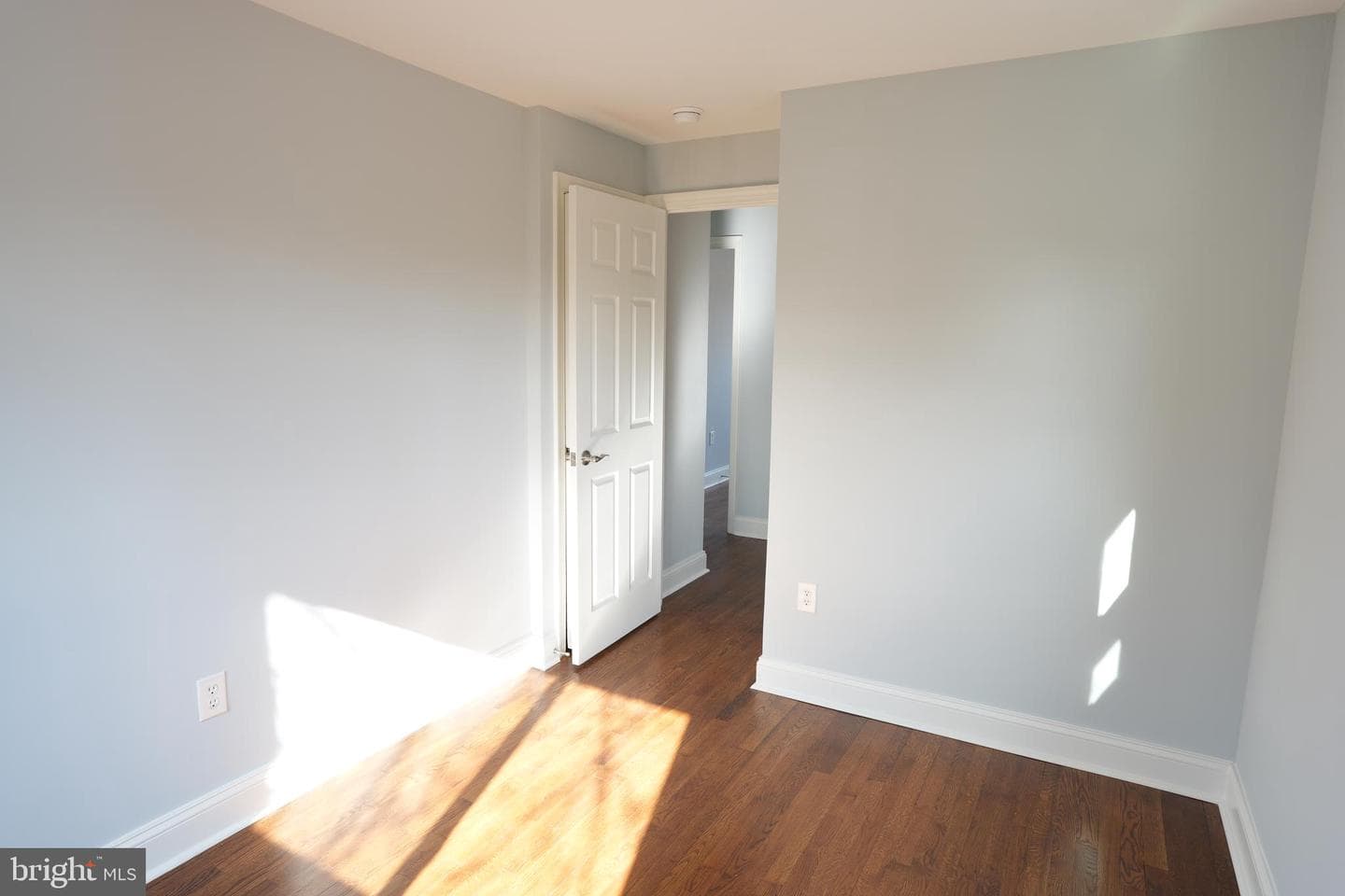164 Elmira Street SW photo 16