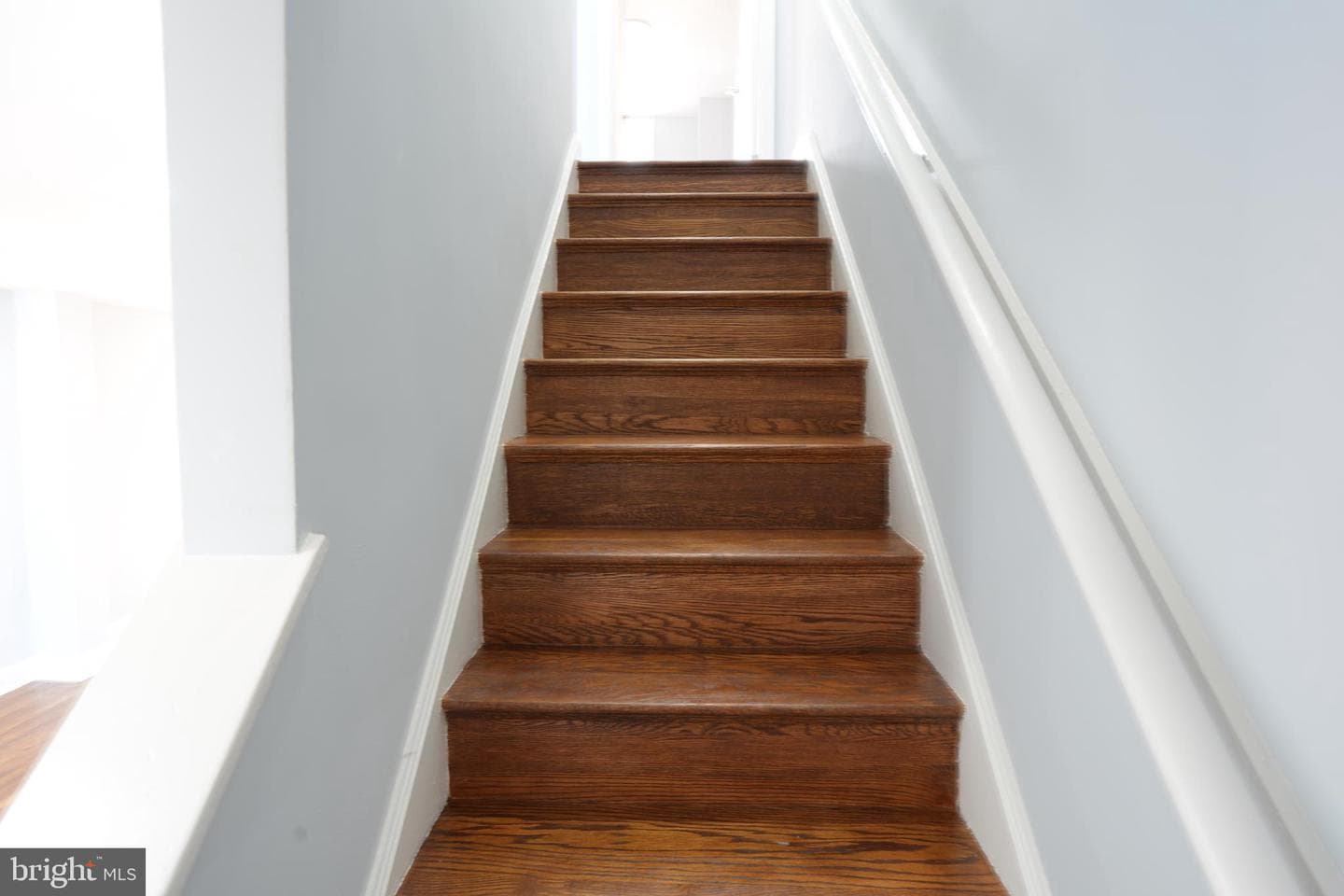 164 Elmira Street SW photo 21