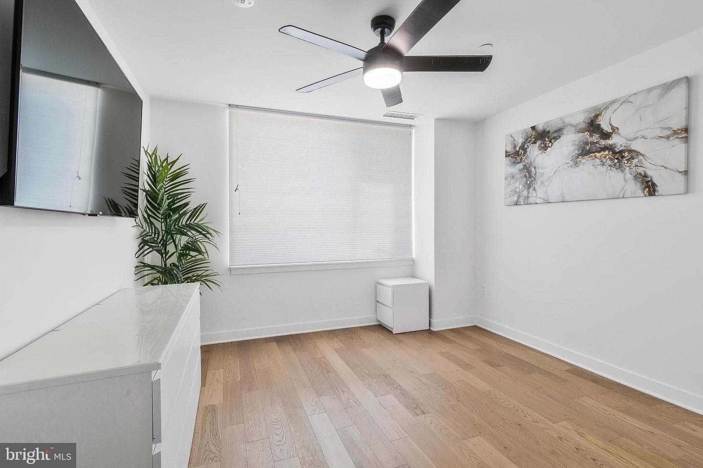 37 L Street SE #101 photo 19