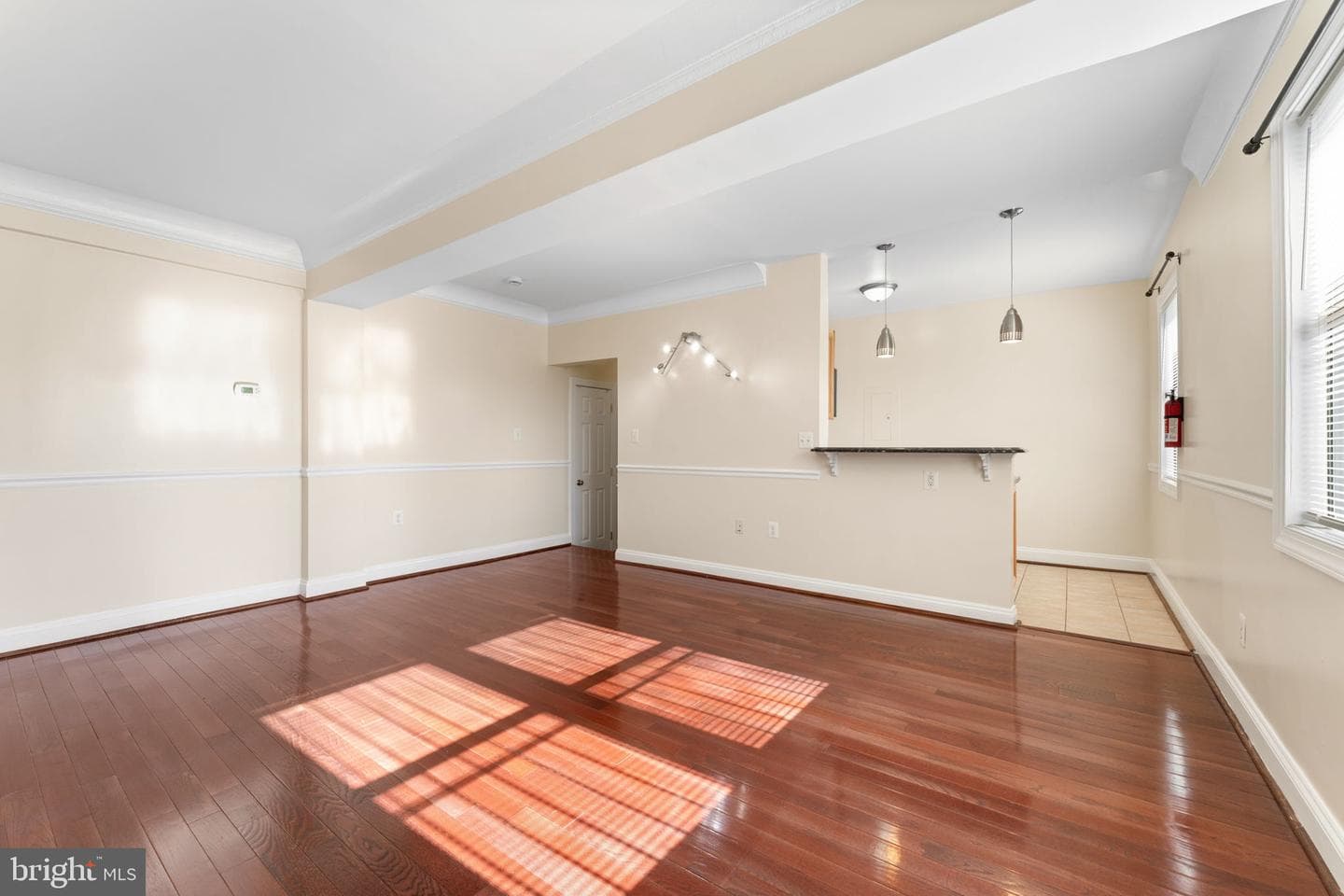 315 Evarts Street NE #t6 photo 6