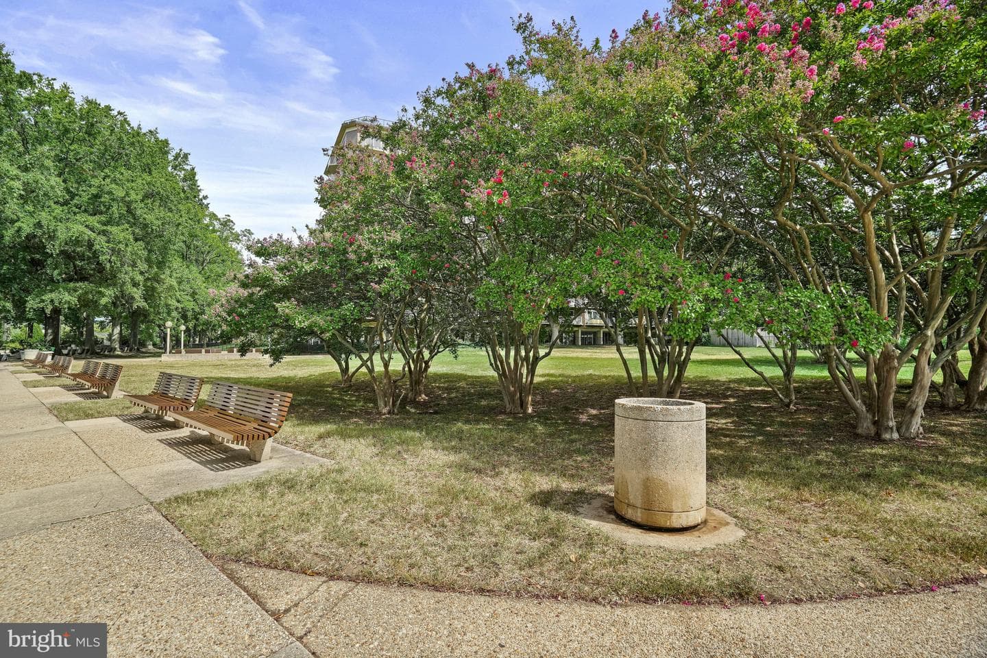 410 O Street SW #306 photo 48