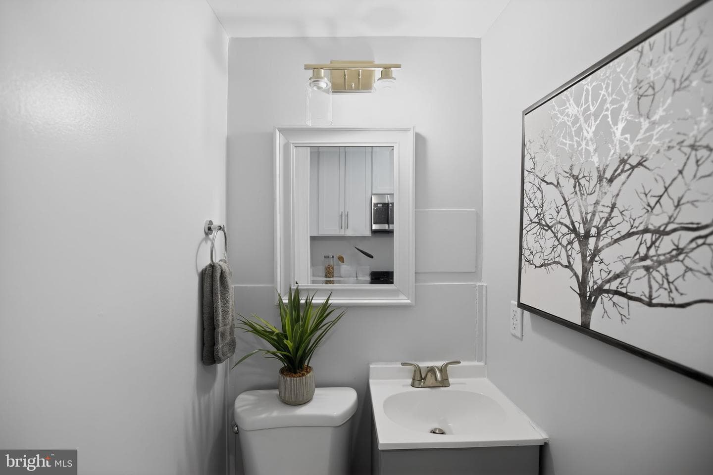 Dc photo 27