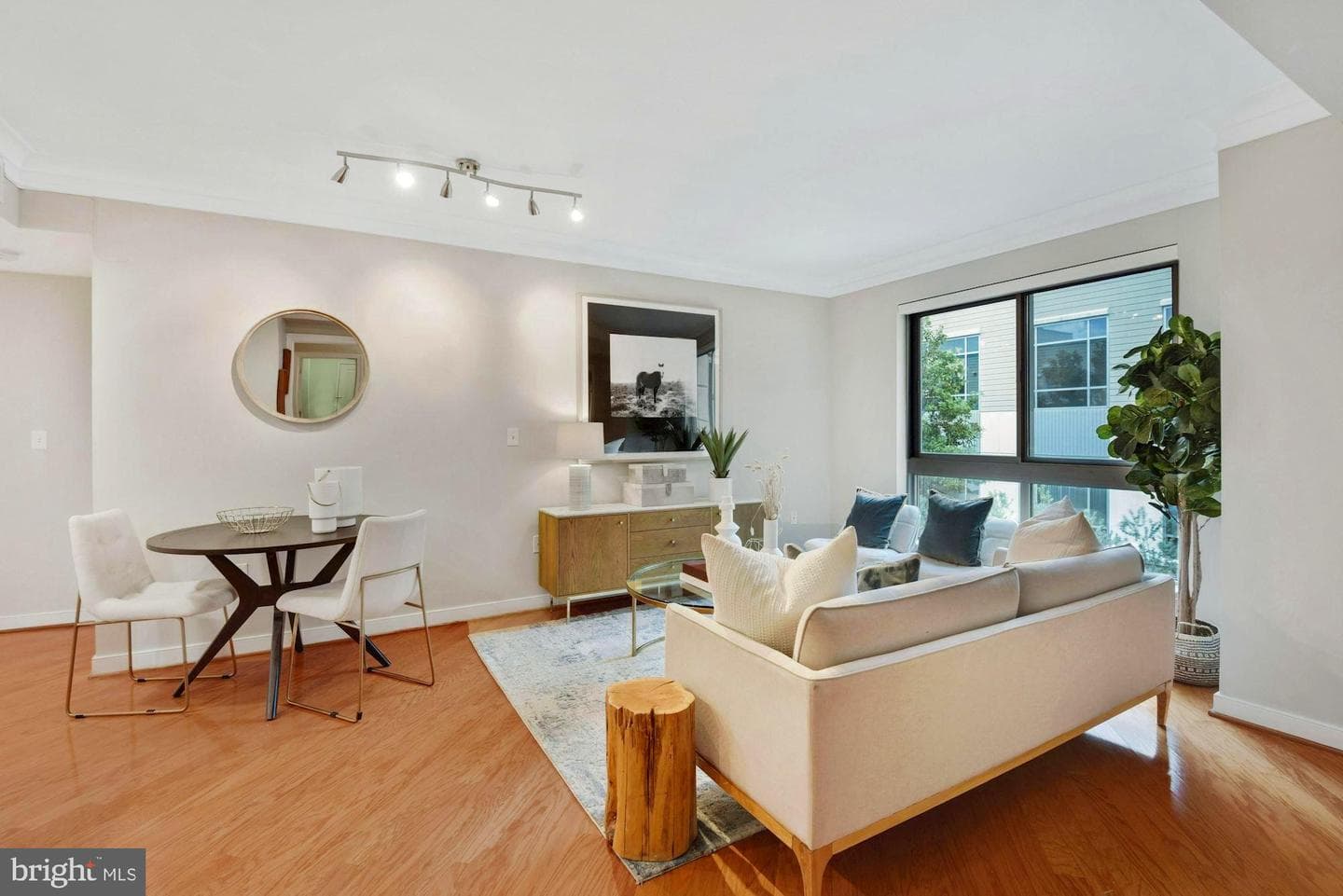 777 7th Street NW #1013 photo 9