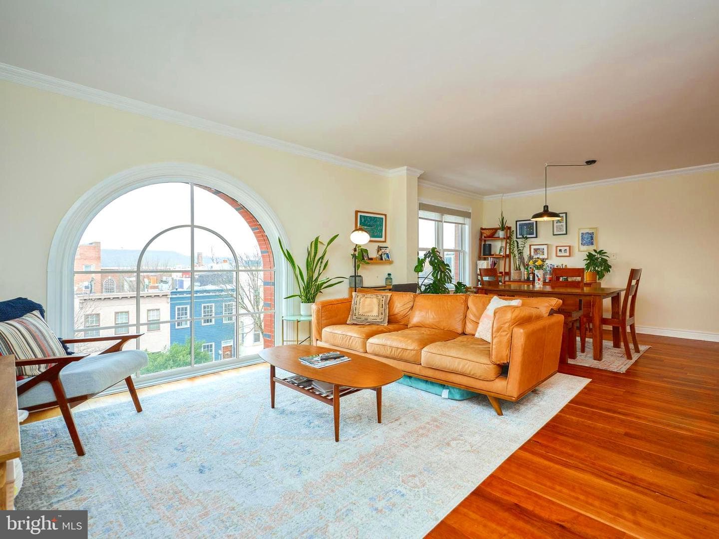 1020 Pennsylvania Avenue SE #504