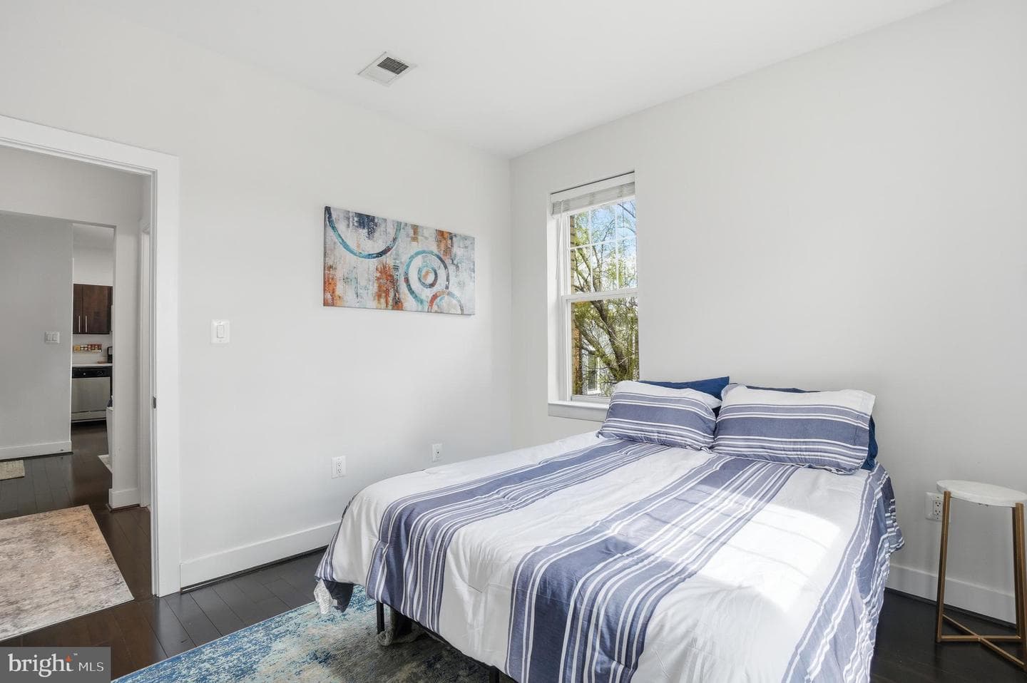 315 G Street NE #306 photo 10